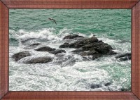 /album/fotogaleria-fotos-marinas/mg-3632-inpixio-640x480-jpg/